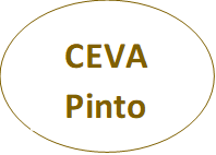 CEVA